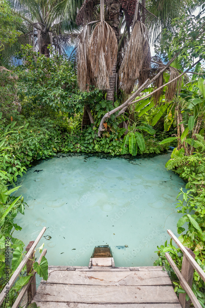 Natural pool in the capital of Brazil 