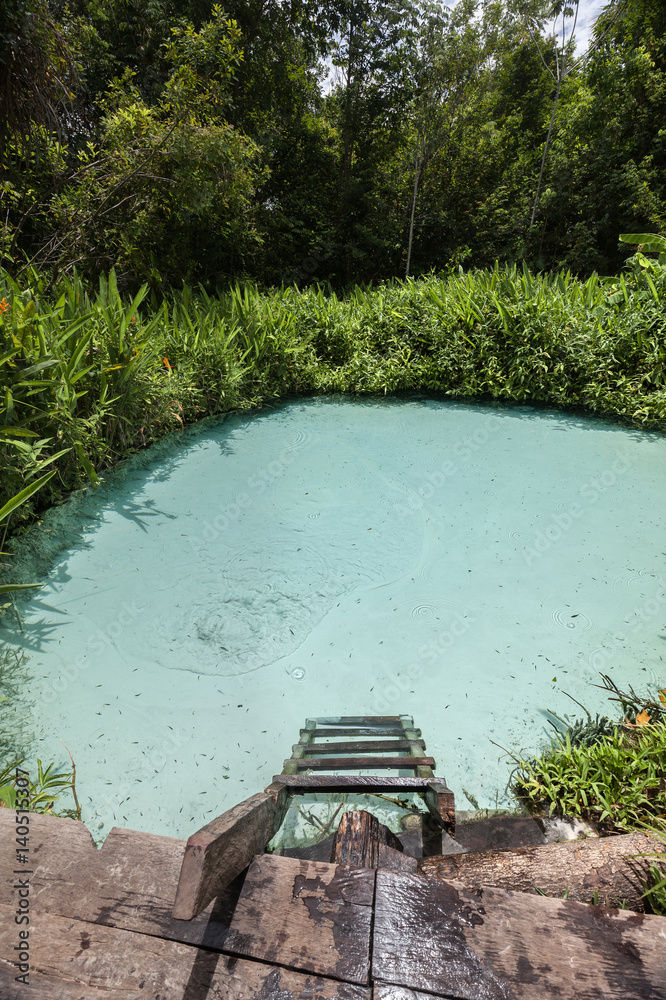 Natural pool in the capital of Brazil 