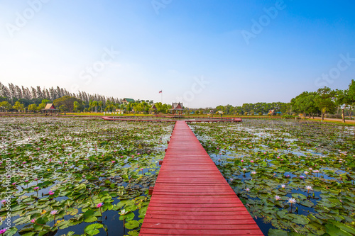 SAKON NAKHON, THAILAND, FEBRUARY 13, 2017 -  DuBois Memorial Park , Sakon Nakhon Province, Thailand, Asia photo
