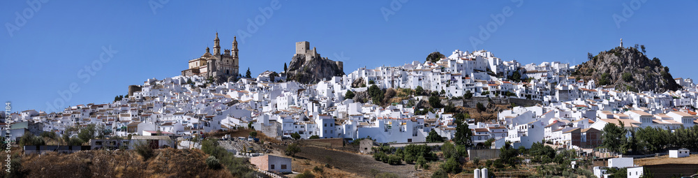 Overview of the town of Olvera, in the province of Cadiz, Spain