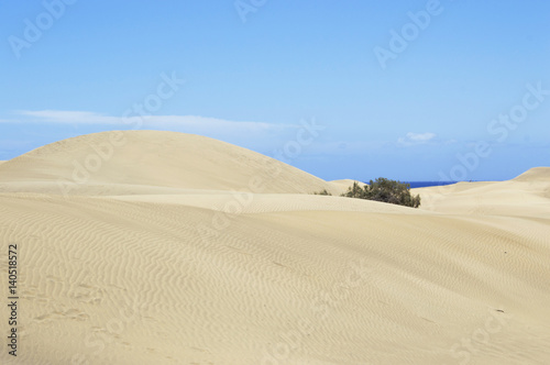 Fototapeta Naklejka Na Ścianę i Meble -  Summer landscape of sand dunes and blue sky.