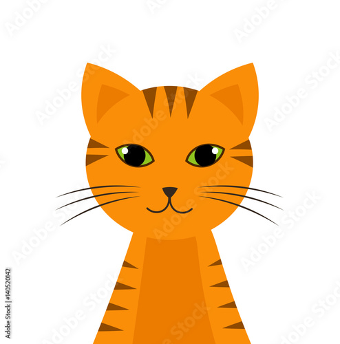 Ginger tiger cat
