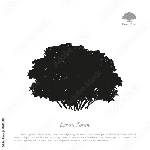 Black silhouette of a bush on a white background. Forest trees