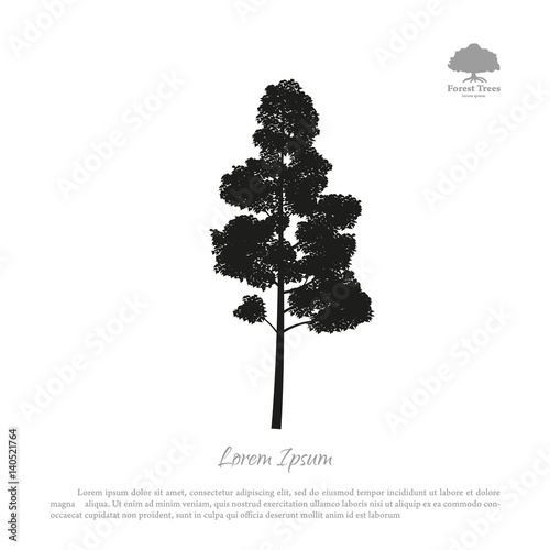 Black silhouette of a tree on a white background. Forest trees