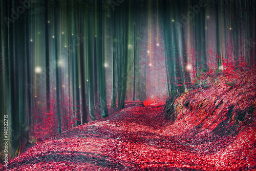 Foto Magic fairytale forest with fireflies lights and mysterious road