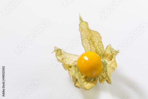  Physalis vor weissem Hintergrund photo