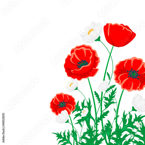 Red poppy and white chamomile illustration. Vector flower on white with green leaves