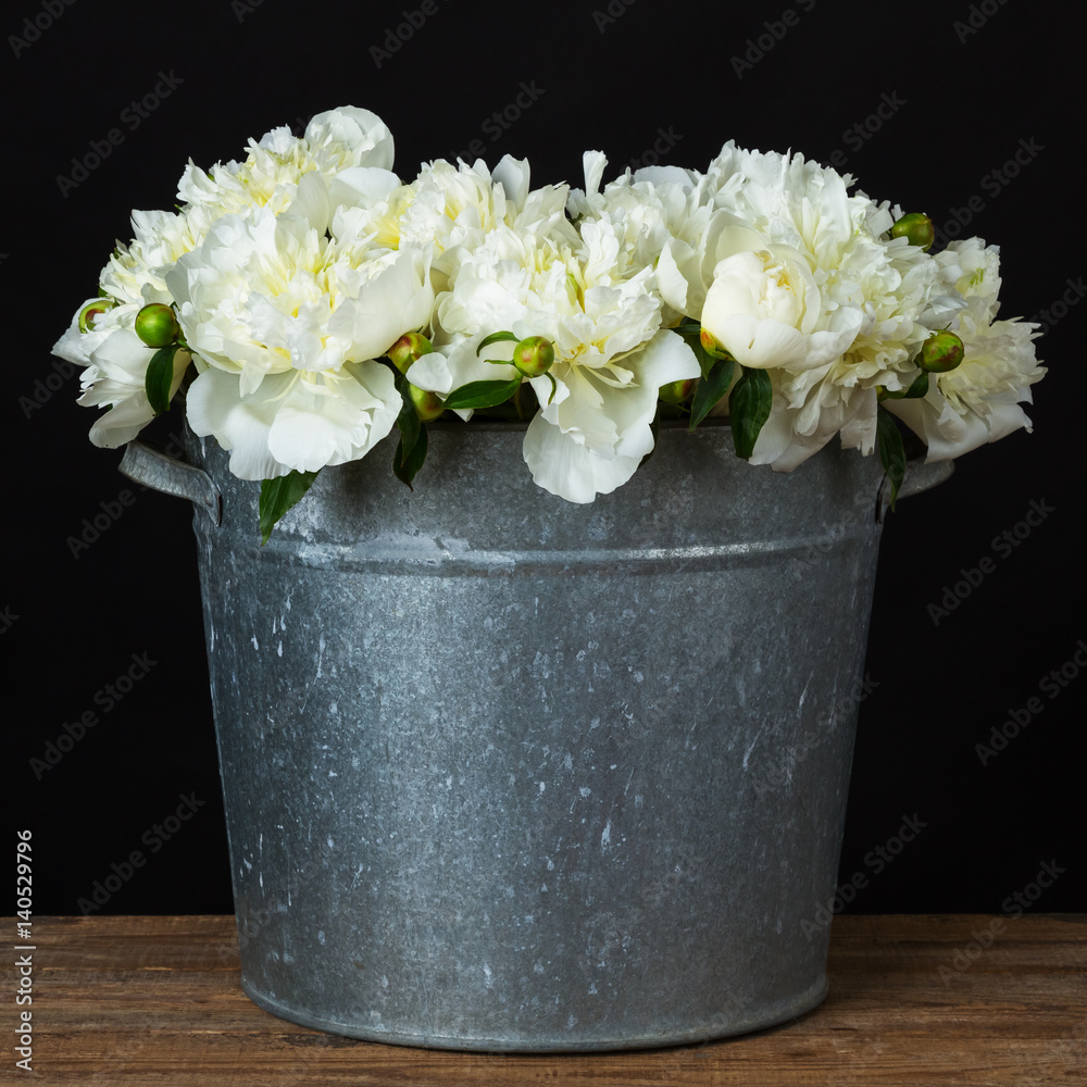 white peonies in a metal bucket white peonies in a metal bucket