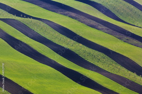Wavy green fields in South ...