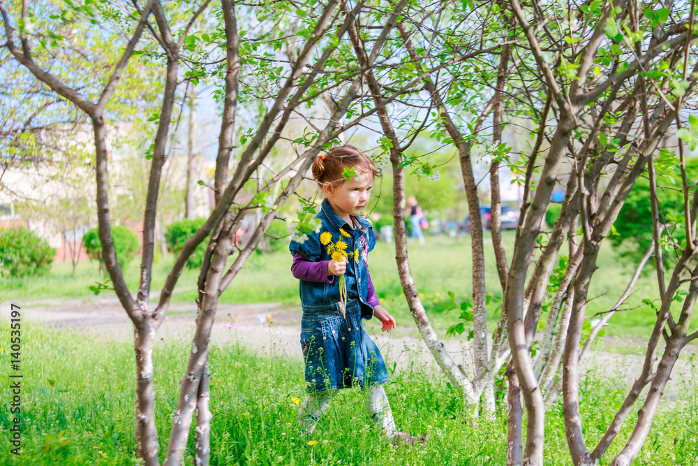 A girl in a jeans dress is walking among the flowering cherry trees. The child walks outdoors in the early spring and holds dandelions in his hands. Soft focus A girl in a jeans dress is walking among the flowering cherry trees. The child walks outdoors in the early spring and holds dandelions in his hands. Soft focus