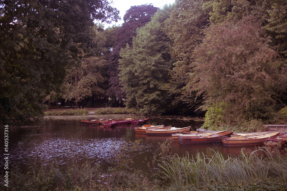 A day in the park with nature and sun