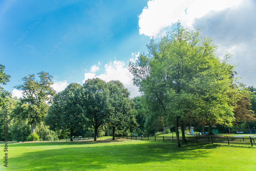 A day in the park with nature and sun