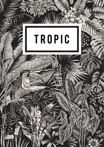Vector card vintage. Exotic flowers, palm, bird, butterfly. Botanical classic illustration. Black and white