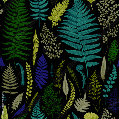 Seamless pattern. Ferns. Vintage vector botanical illustration. Vivid