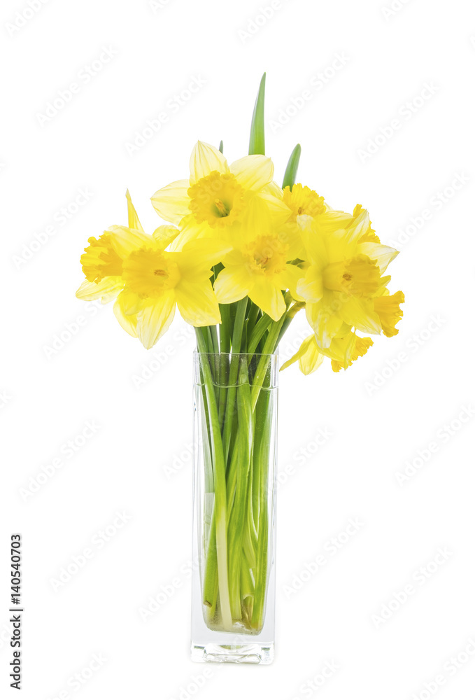 Bouquet of Yellow Daffodils in a Glass Vase Isolated on White