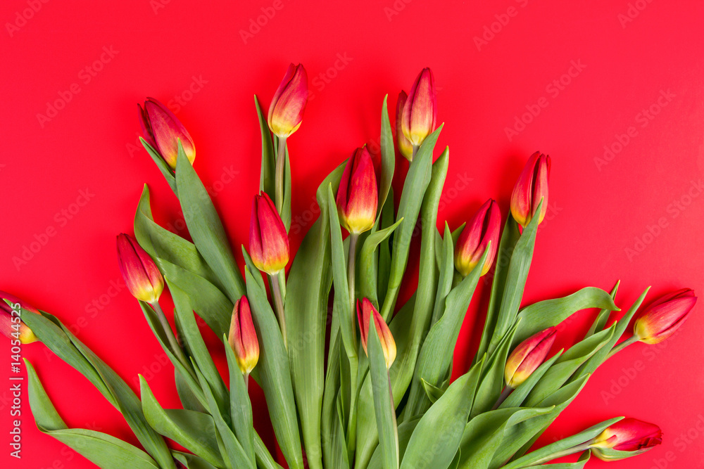 Flower bouquet of tulips on red background with copy space for text. Top view