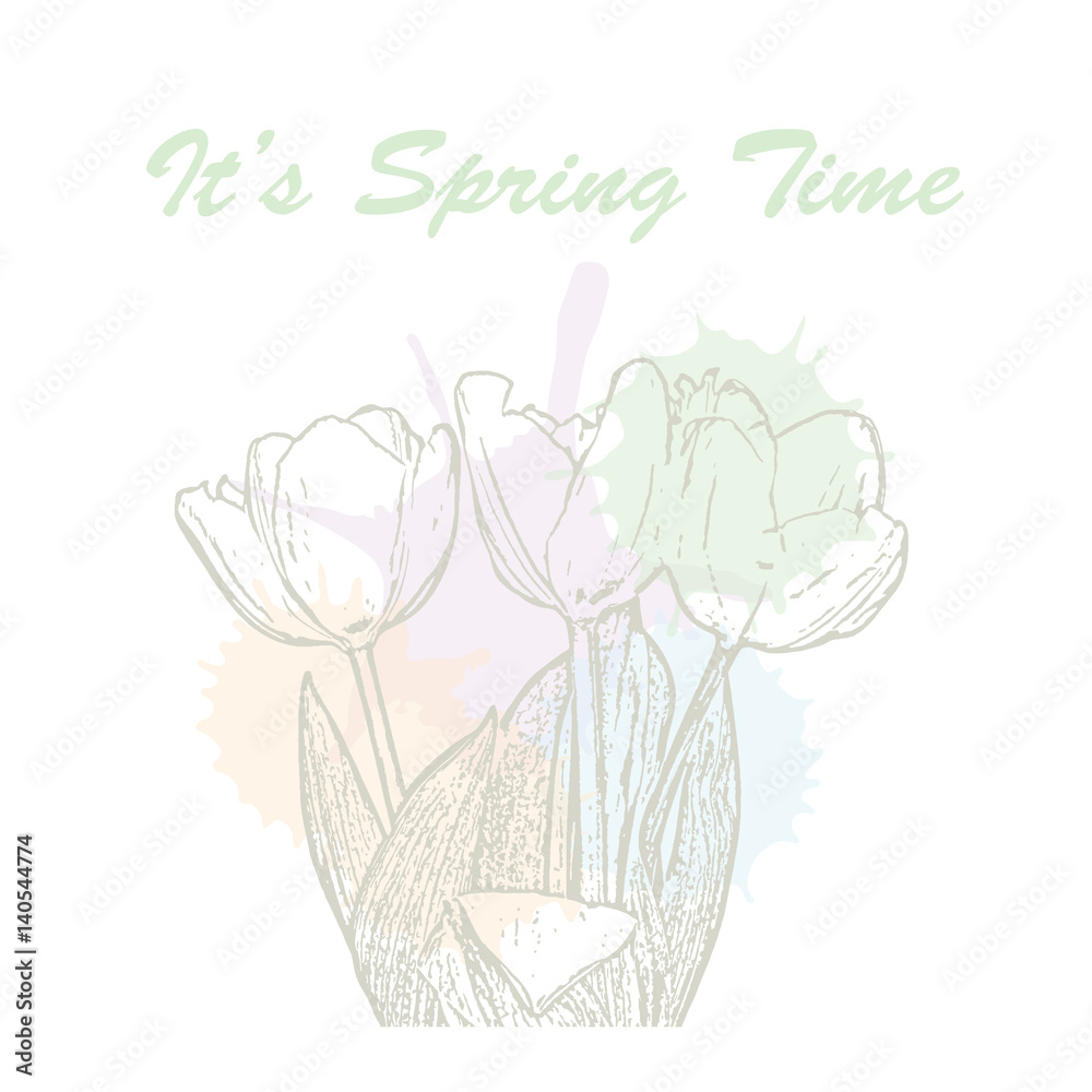 It's spring time hand drawn lettering typography with tulip flowers and watercolor pastel blots. Vector illustration of concept for invitation, card, ticket, label, banner