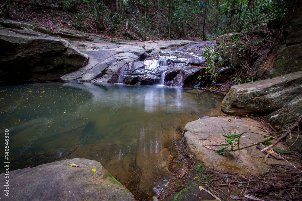Rain forest Rain forest