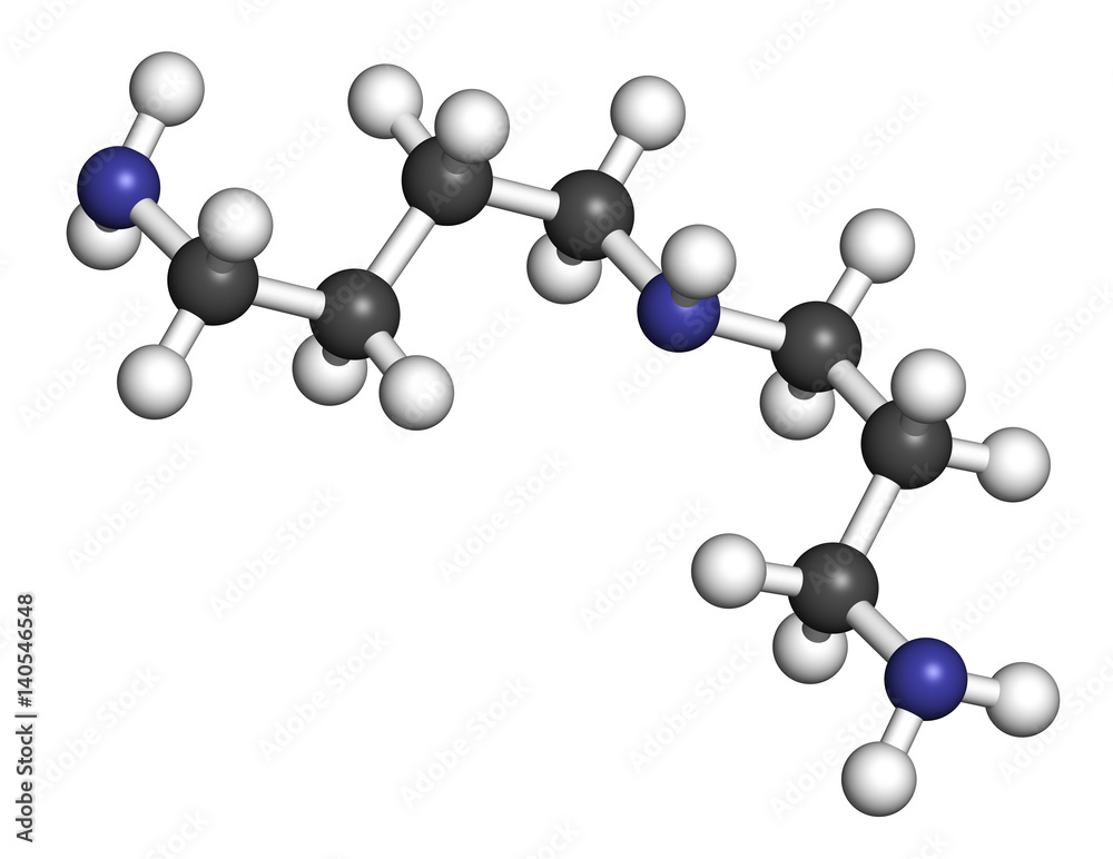 Spermidine molecule. 3D rendering. Atoms are represented as spheres with conventional color coding. Spermidine molecule. 3D rendering. Atoms are represented as spheres with conventional color coding.