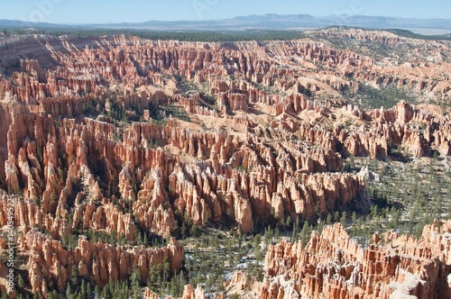 Hoodoos in the landscape of Bryce Canyon, Utah. photo