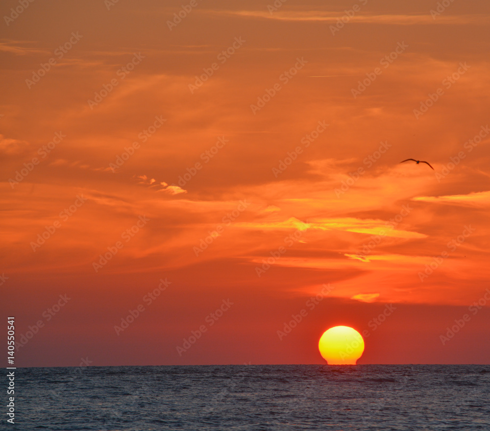 Fototapeta premium Beautiful sunset on the Gulf of Mexico, Florida!