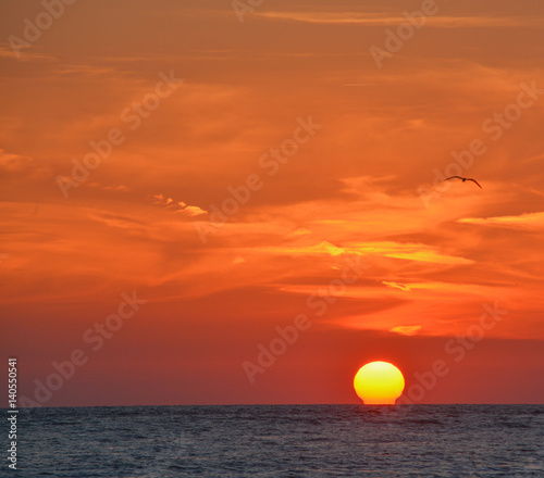 Fototapeta Naklejka Na Ścianę i Meble -  Beautiful sunset on the Gulf of Mexico, Florida!