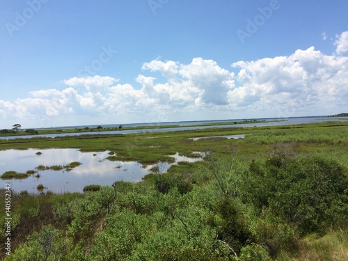 Assateague Island