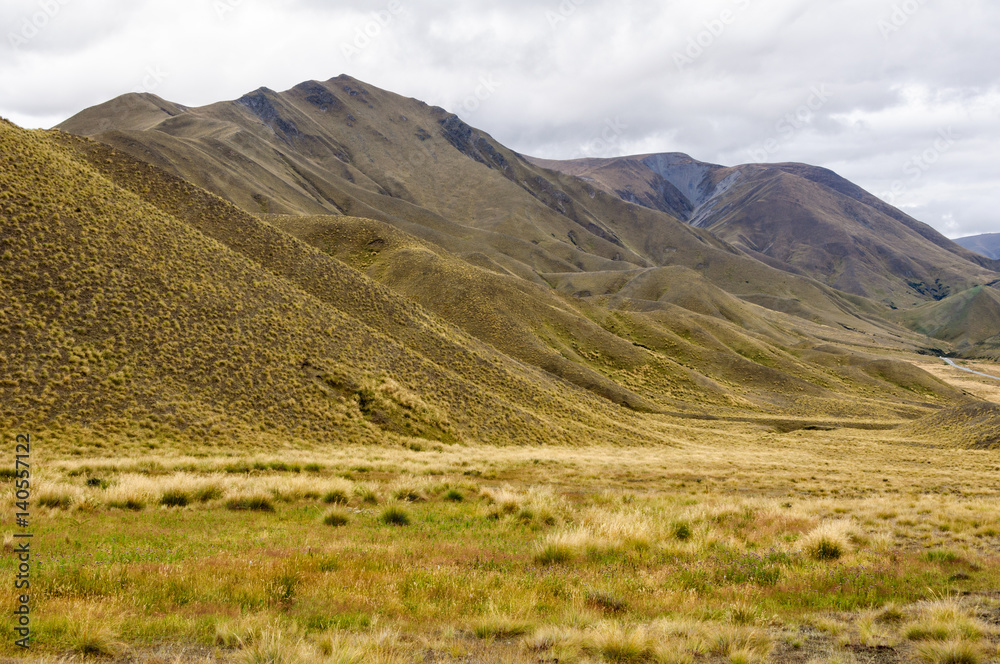 Tussocks and yellow rolling hills near Lindis Pass in Central Otago on the South Island of New Zealand