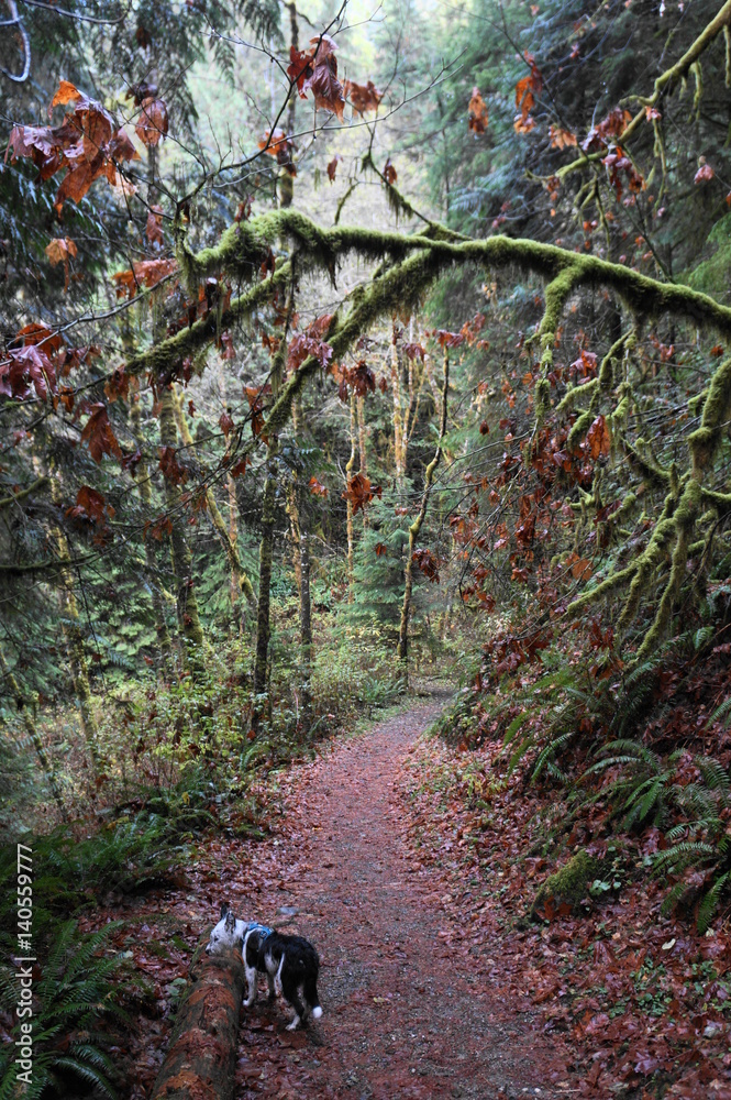 Exploring Washington The great Pacific Northwest Exploring Washington The great Pacific Northwest