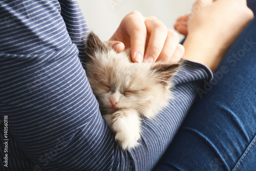 Close up view of owner with cute little kitten
