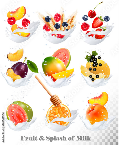 Fototapeta Naklejka Na Ścianę i Meble -  Big collection icons of fruit in a milk splash. Guava, plum, mango, blackcurrant, strawberry, cherry, blueberry, honey, melon, peach. Vector Set