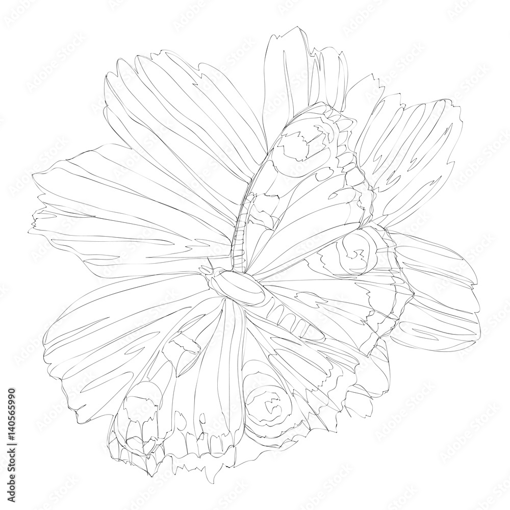 Fototapeta premium beautiful flowers line art continuous line drawing