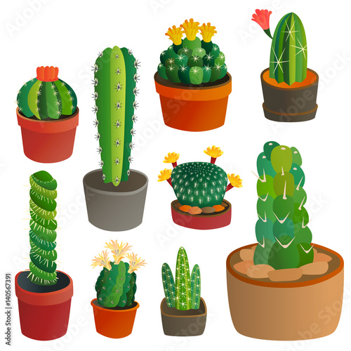 Cactus flat style nature desert flower green cartoon drawing graphic mexican ...