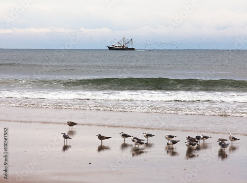 Fishing boat and gulls beach scene OBX NC US photo