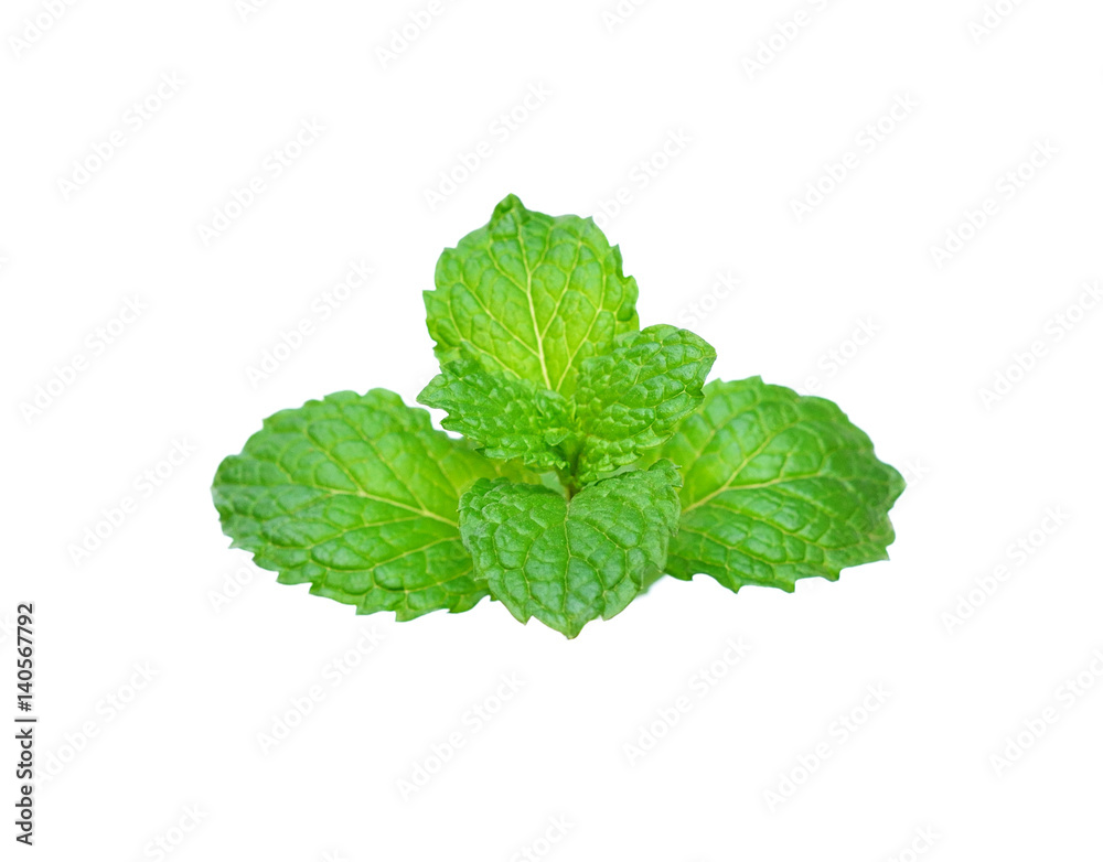 Fresh mint leaves isolated on white background Fresh mint leaves isolated on white background