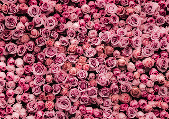 Poster Rozen Bloemenwand met betoverende rozen  © joeycheung