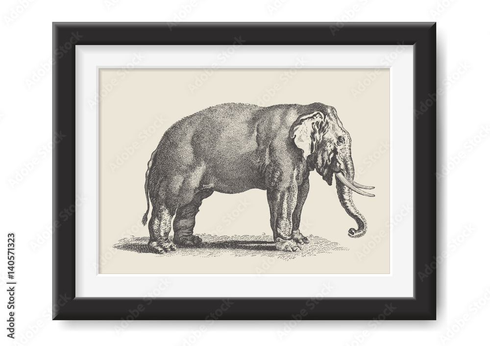 Naklejka premium retro vector illustrations series: vintage drawing of an Indian elephant - great for adventure / travel themed posters or as graphic design element for other print projects