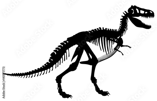 T rex skeleton © Adrian Hillman