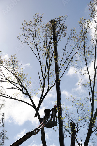 outdoor worker cut tree branches on the crane platform 