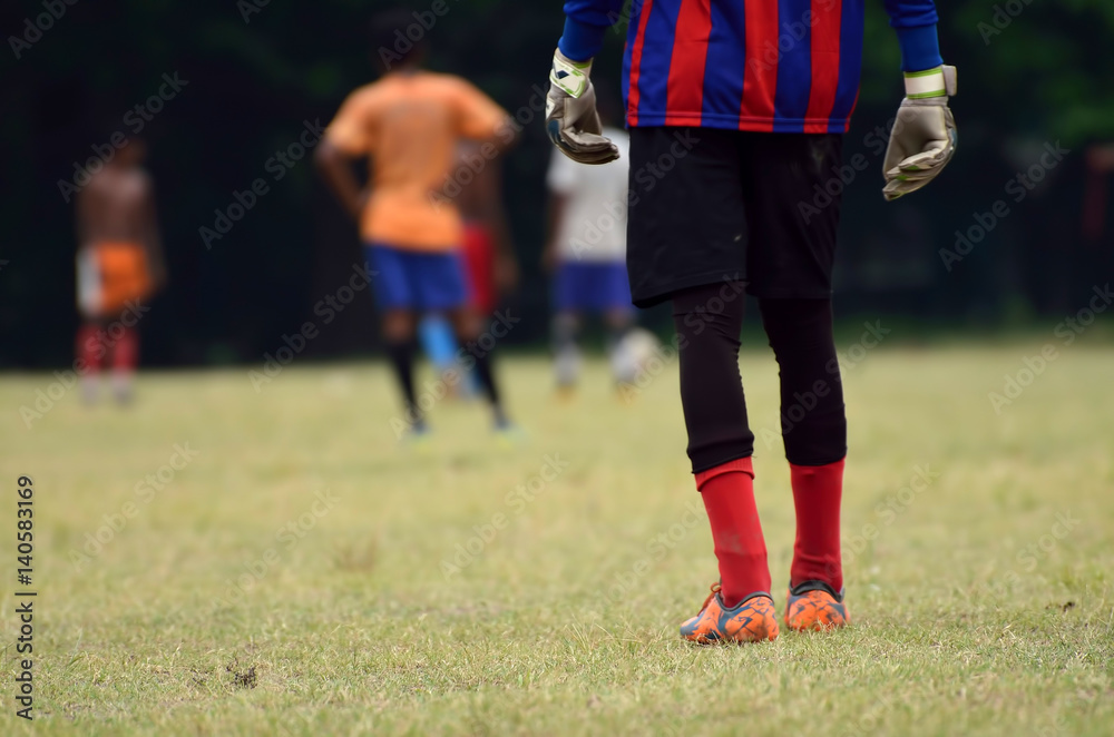 Soccer goalkeeper 