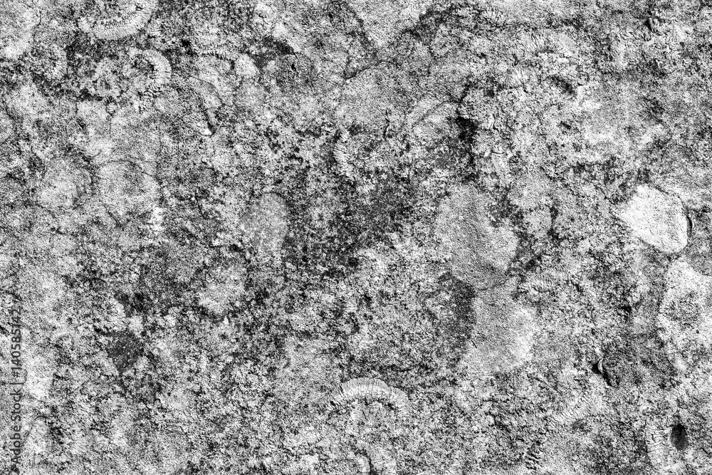 Portland Stone Texture B Portland Stone Texture B
