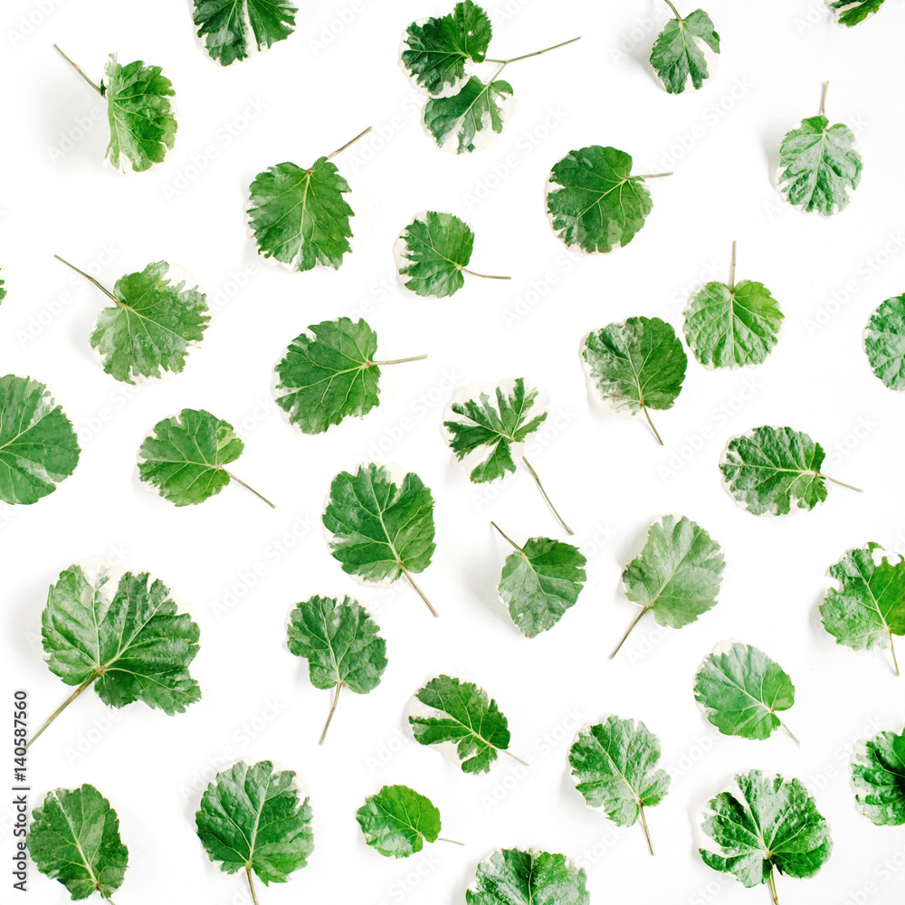 Floral pattern made of green leaves, branches on white background. Flat lay, top view. Leaf pattern texture. Floral pattern made of green leaves, branches on white background. Flat lay, top view. Leaf pattern texture.