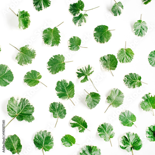 Floral pattern made of green leaves  branches on white background. Flat lay  top view. Leaf pattern texture.