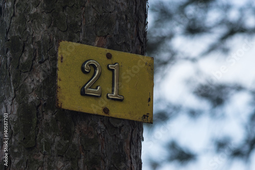 Plate number 21 is attached to a tree