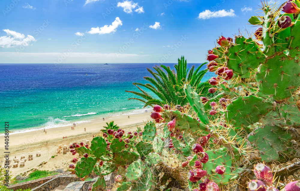 Fototapeta premium Plaża Esquinzo, Fuerteventura, Wyspy Kanaryjskie, (Wyspy Kanaryjskie) Hiszpania