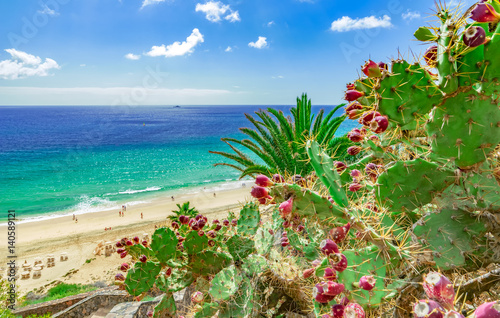 Strand von Esquinzo, Fuerteventura, kanarische Inseln, (Kanaren) Spanien photo