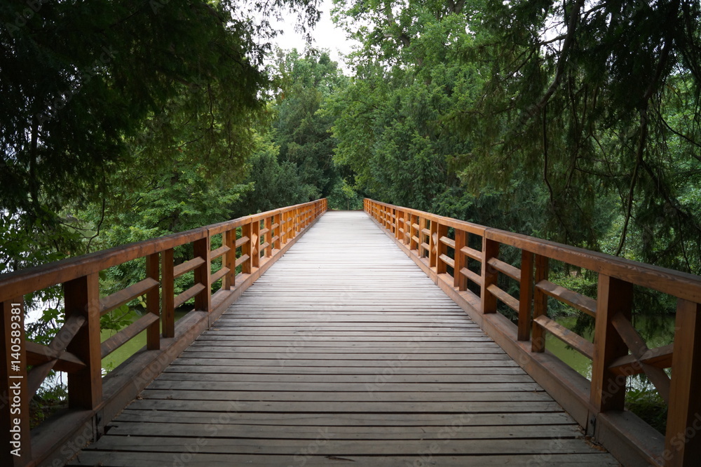 wooden bridge in forest