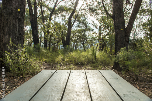 Landscape from Southern highlands NSW photo