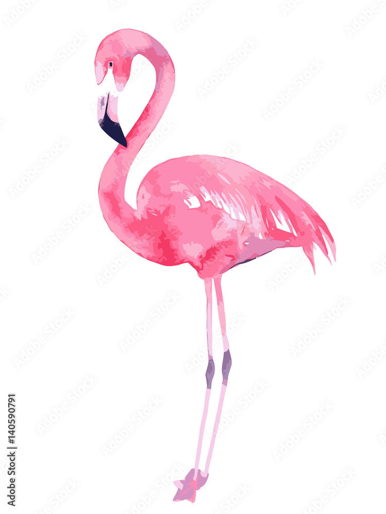 Naklejka Akwarela flamingo. Malowany obraz. Ilustracji wektorowych