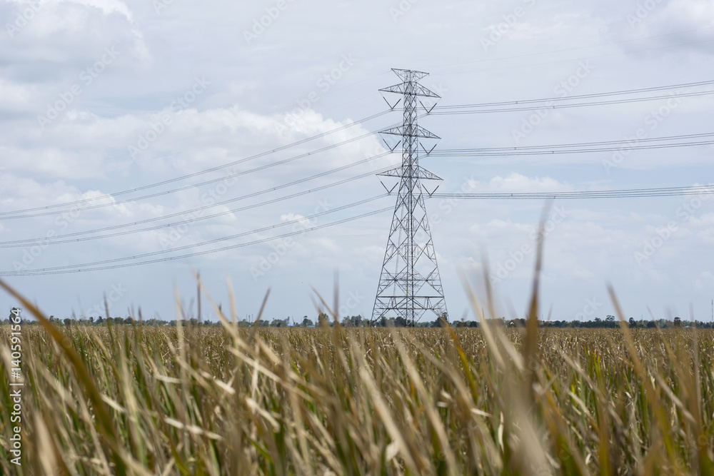 Dry grass lanscape with electricity post Dry grass lanscape with electricity post
